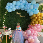 Balloon Arch